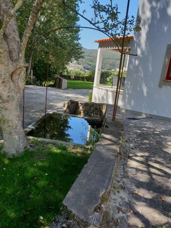 Casa Dos Namorados Vale de Cambra Eksteriør bilde