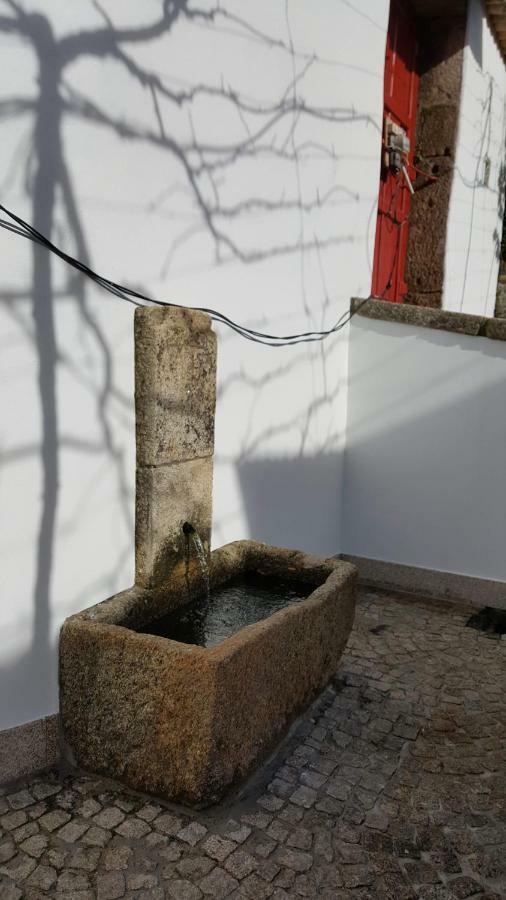 Casa Dos Namorados Vale de Cambra Eksteriør bilde